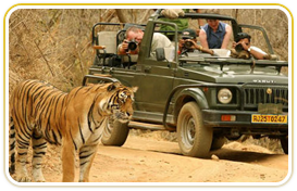 hotels in ranthambore
